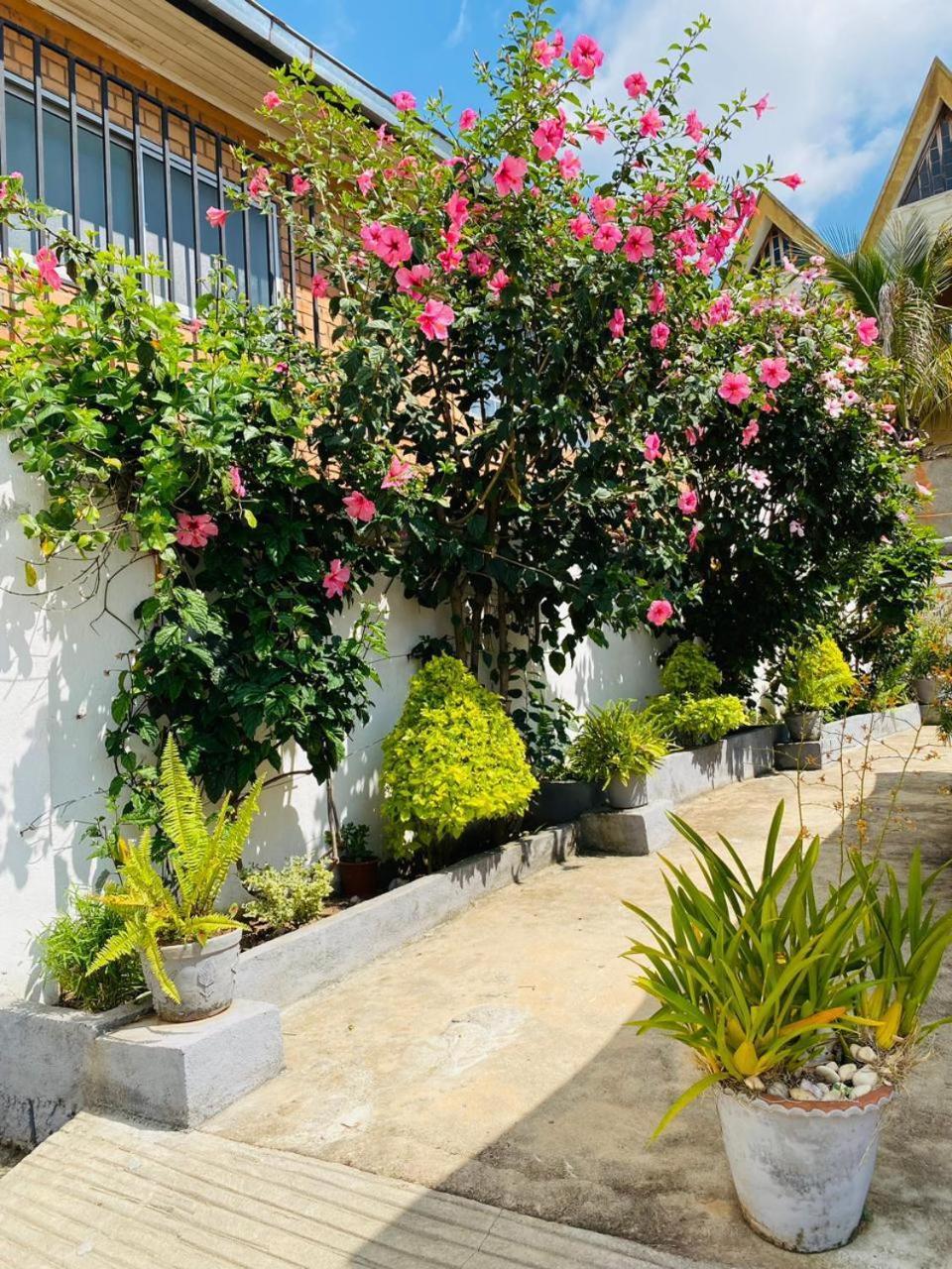 Chez Jeanne Chambre D'Hote Antananarivo Bagian luar foto